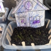 Photo for Growing Grass