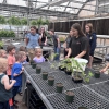 Photo for Greenhouses are the secret ingredient